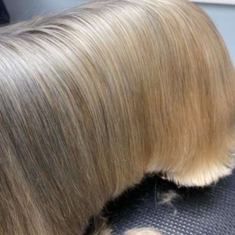 AUNA MOISTURIZING and Smoothing Spray 300 ml